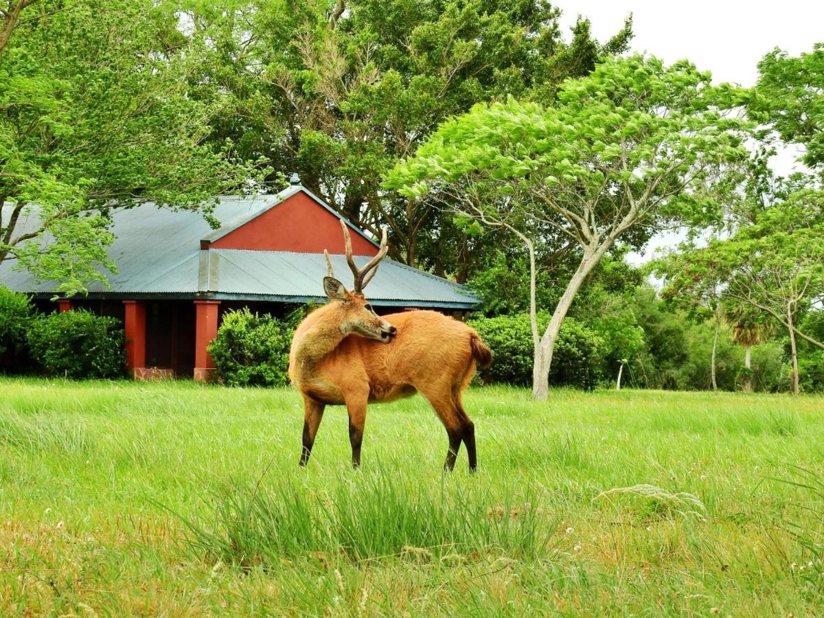 Estancia Iberá Colonia Carlos Pellegrini (Corrientes) Exterior foto