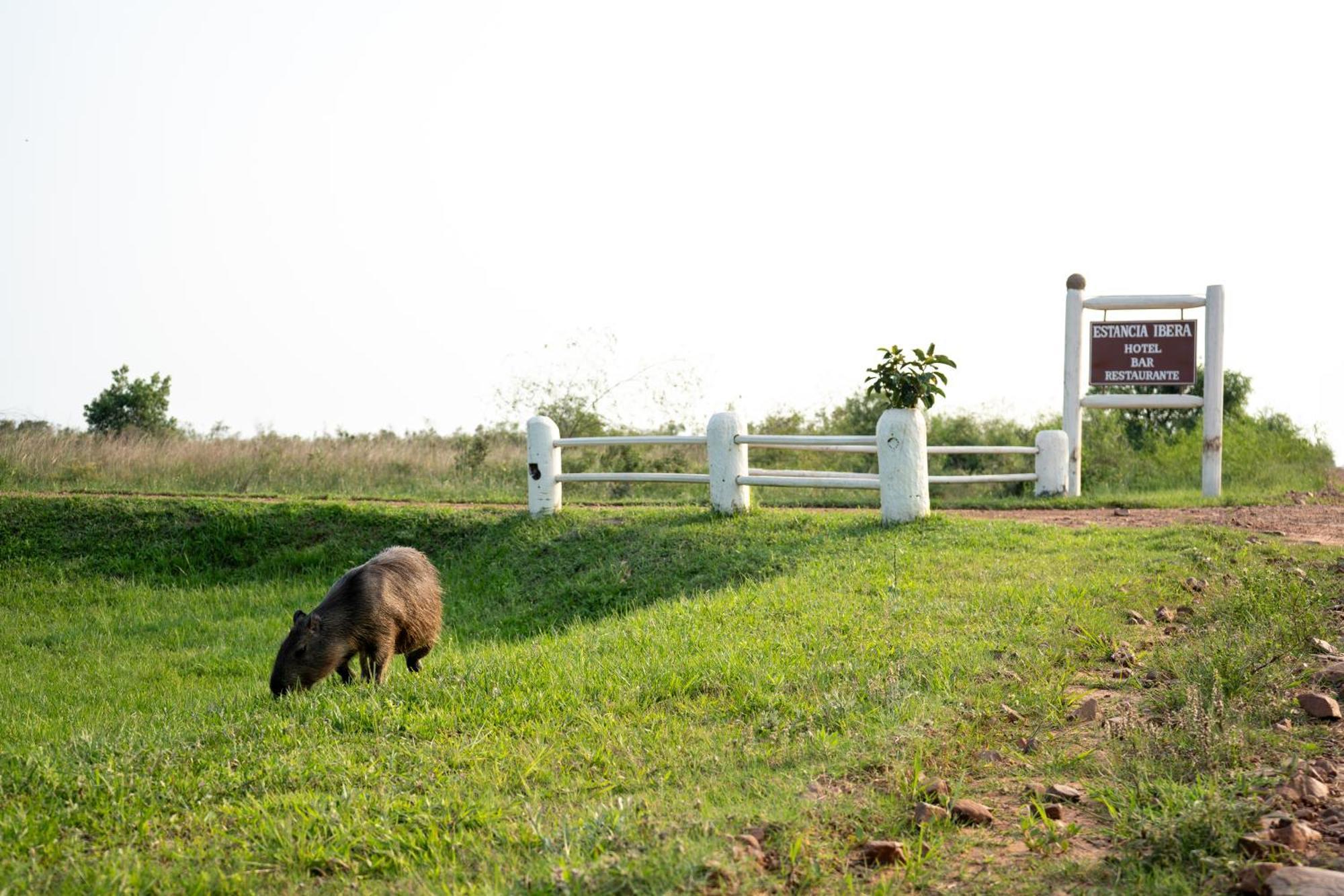 Estancia Iberá Colonia Carlos Pellegrini (Corrientes) Exterior foto